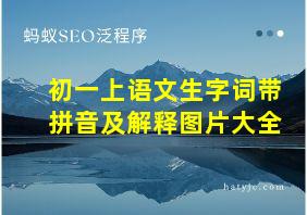 初一上语文生字词带拼音及解释图片大全