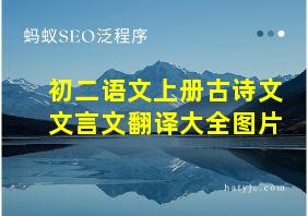 初二语文上册古诗文文言文翻译大全图片