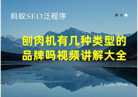 刨肉机有几种类型的品牌吗视频讲解大全