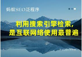 利用搜索引擎检索,是互联网络使用最普遍