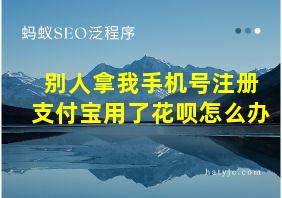 别人拿我手机号注册支付宝用了花呗怎么办