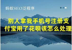 别人拿我手机号注册支付宝用了花呗该怎么处理