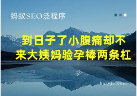 到日子了小腹痛却不来大姨妈验孕棒两条杠