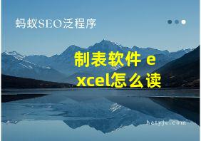 制表软件 excel怎么读