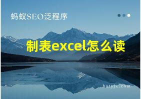 制表excel怎么读