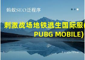 刺激战场地铁逃生国际服(PUBG MOBILE)