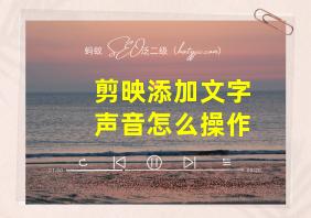 剪映添加文字声音怎么操作