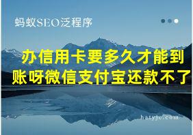 办信用卡要多久才能到账呀微信支付宝还款不了