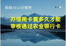 办信用卡要多久才能审核通过农业银行卡