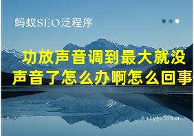 功放声音调到最大就没声音了怎么办啊怎么回事