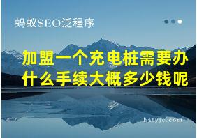 加盟一个充电桩需要办什么手续大概多少钱呢