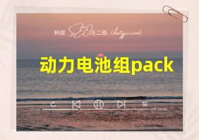 动力电池组pack