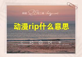 动漫rip什么意思