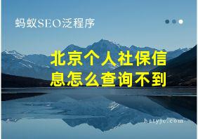 北京个人社保信息怎么查询不到