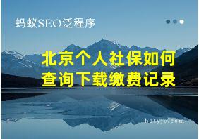 北京个人社保如何查询下载缴费记录