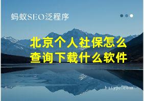 北京个人社保怎么查询下载什么软件