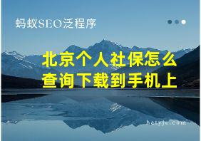 北京个人社保怎么查询下载到手机上