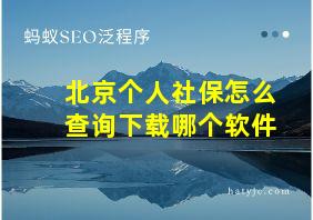 北京个人社保怎么查询下载哪个软件