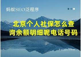 北京个人社保怎么查询余额明细呢电话号码