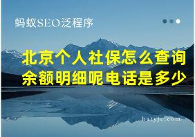 北京个人社保怎么查询余额明细呢电话是多少