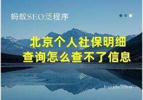 北京个人社保明细查询怎么查不了信息