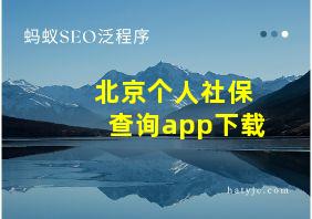 北京个人社保查询app下载