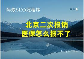 北京二次报销医保怎么报不了