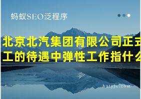 北京北汽集团有限公司正式工的待遇中弹性工作指什么