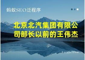 北京北汽集团有限公司部长以前的王伟杰