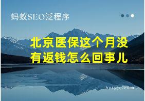 北京医保这个月没有返钱怎么回事儿