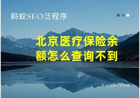 北京医疗保险余额怎么查询不到