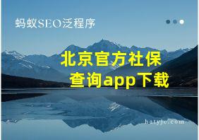 北京官方社保查询app下载