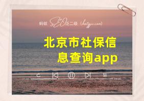 北京市社保信息查询app