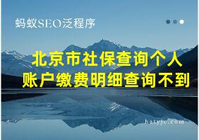 北京市社保查询个人账户缴费明细查询不到