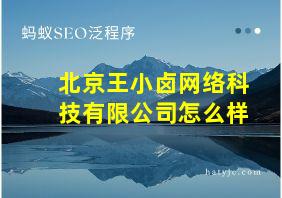 北京王小卤网络科技有限公司怎么样