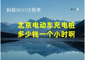 北京电动车充电桩多少钱一个小时啊