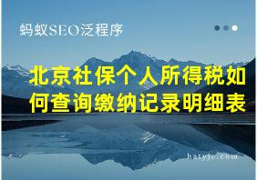 北京社保个人所得税如何查询缴纳记录明细表