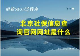 北京社保信息查询官网网址是什么