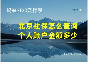 北京社保怎么查询个人账户金额多少