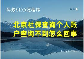 北京社保查询个人账户查询不到怎么回事