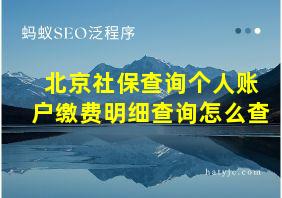 北京社保查询个人账户缴费明细查询怎么查