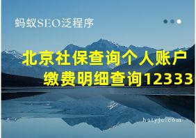 北京社保查询个人账户缴费明细查询12333