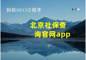 北京社保查询官网app