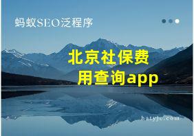 北京社保费用查询app