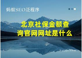 北京社保金额查询官网网址是什么