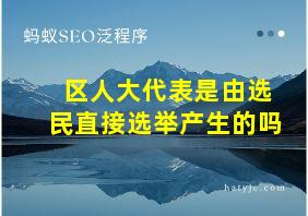 区人大代表是由选民直接选举产生的吗