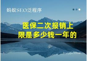 医保二次报销上限是多少钱一年的