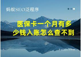 医保卡一个月有多少钱入账怎么查不到