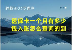 医保卡一个月有多少钱入账怎么查询的到