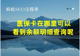 医保卡在哪里可以看到余额明细查询呢